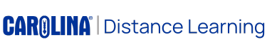 Distance Learning new logo (4)